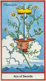 Herbal Ace of Swords