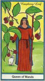 Herbal Queen of Wands