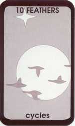 Living Earth 10 of Feathers