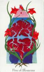 Tarot of Love 5 of Blossoms