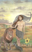 Tarot