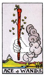 Tarot