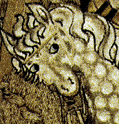 detail of stitches