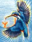 Greenwood Tarot Page of Cups: Kingfisher