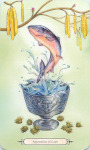 Faery Wheel Apprentice of Cups