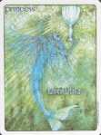Gill Princess of Cups