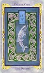 Legend Page of Cups