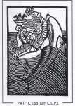 Light and Shadow Princess of Cups