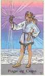 Robin Wood Page of Cups