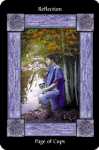 Sacred Circle Tarot Page of Cups